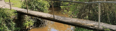 Simple bridge surrounded by lush greenery