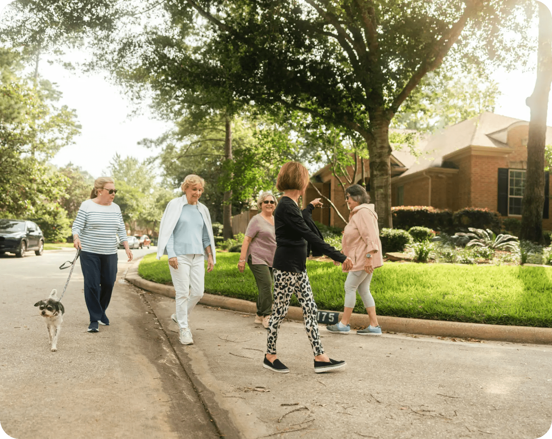 Women strolling with dog on street